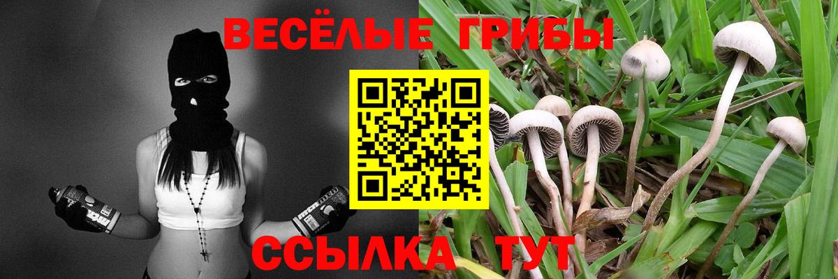 Галлюциногенные грибы Magic Shrooms Коркино